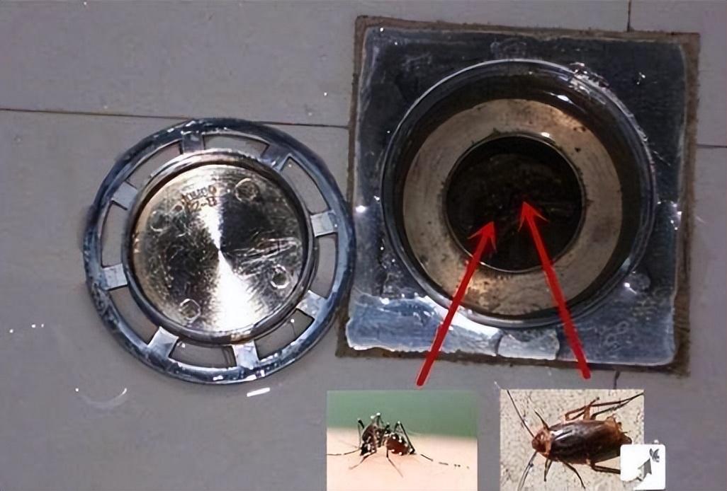 蟑螂一般躲在家里的什么地方，家里有蟑螂怎么找到窝-梦路生活号