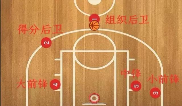 篮球队员5个站位位置图（盘点史最强1～5号位置国手）-梦路生活号