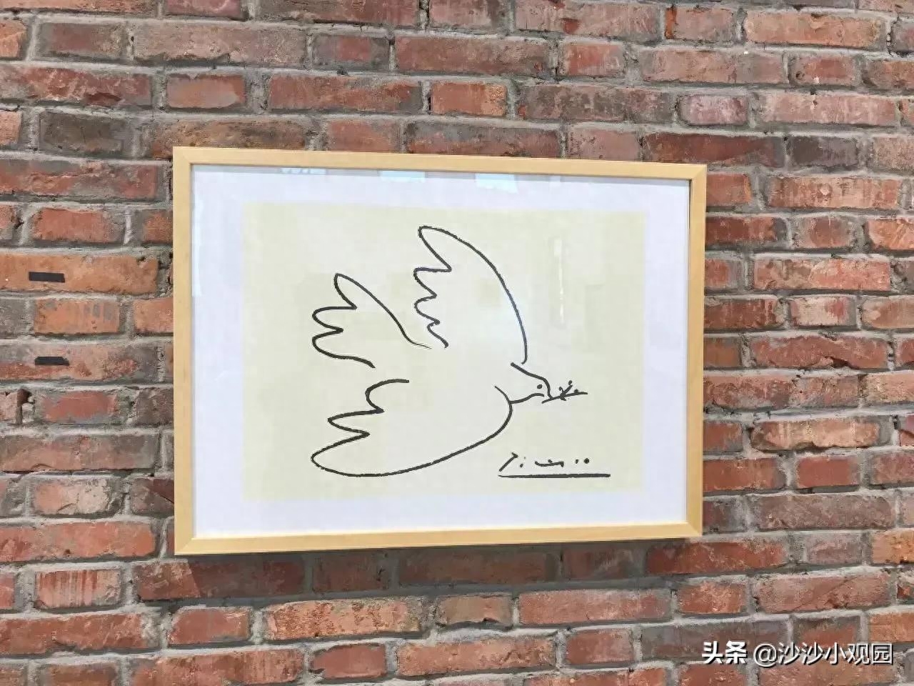 和平鸽作者是谁（世界名画毕加索的和平鸽原图创作意图 ）-梦路生活号