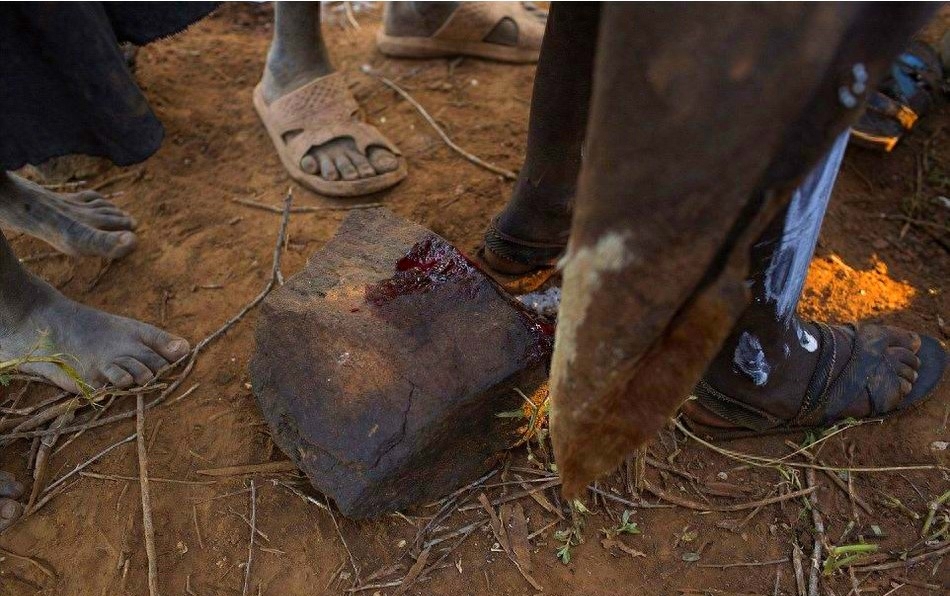 非洲割礼女性指的是什么意思，非洲割礼仪式是割什么地方-梦路生活号