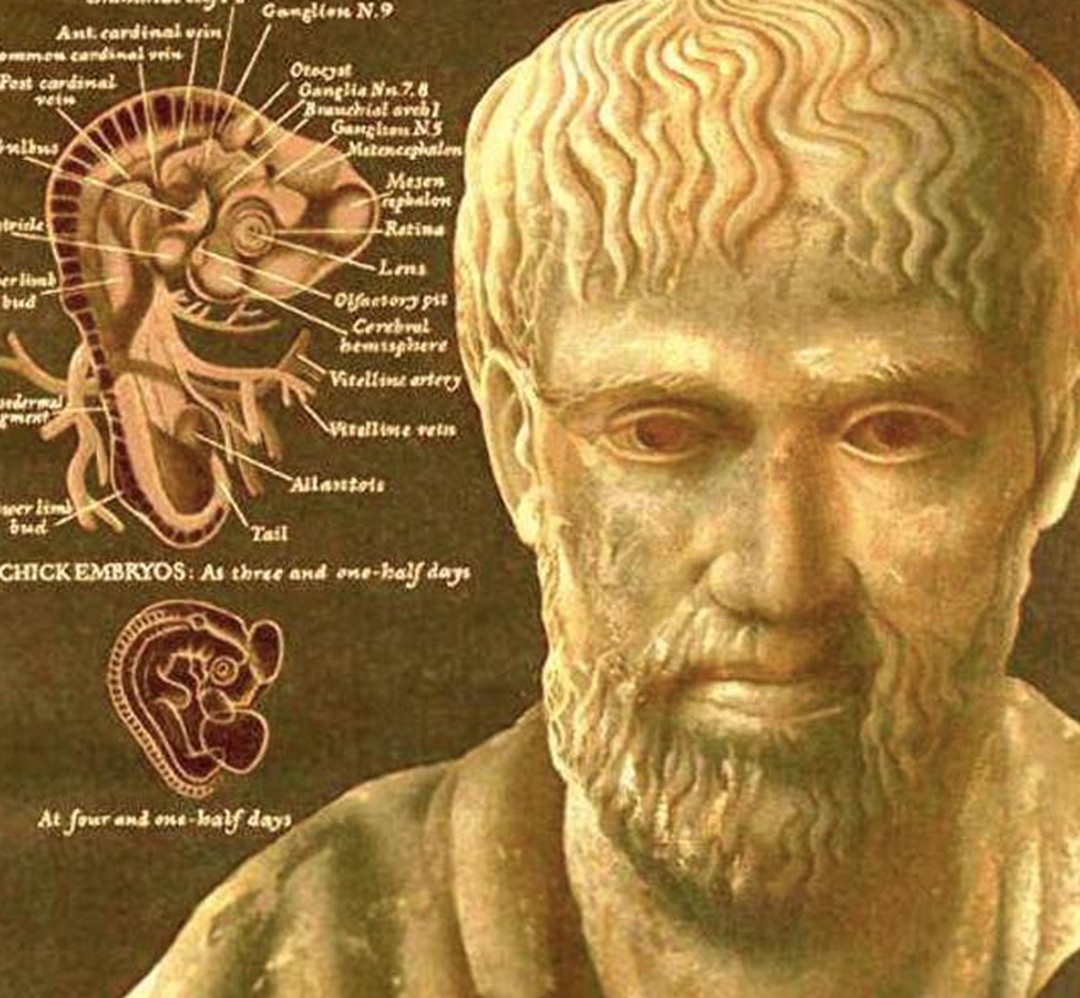 西方哲学开创者亚里士多德个人简介（亚里士多德的思想主张是什么）-梦路生活号
