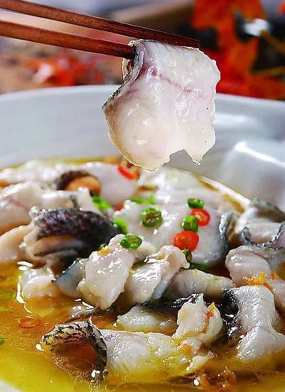 酸菜鱼是哪里的菜，四川酸菜鱼相关典故酸菜鱼的来历-梦路生活号